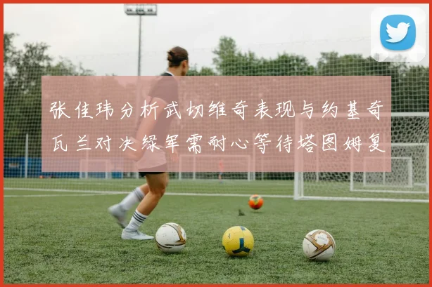 张佳玮分析武切维奇表现与约基奇瓦兰对决绿军需耐心等待塔图姆复出